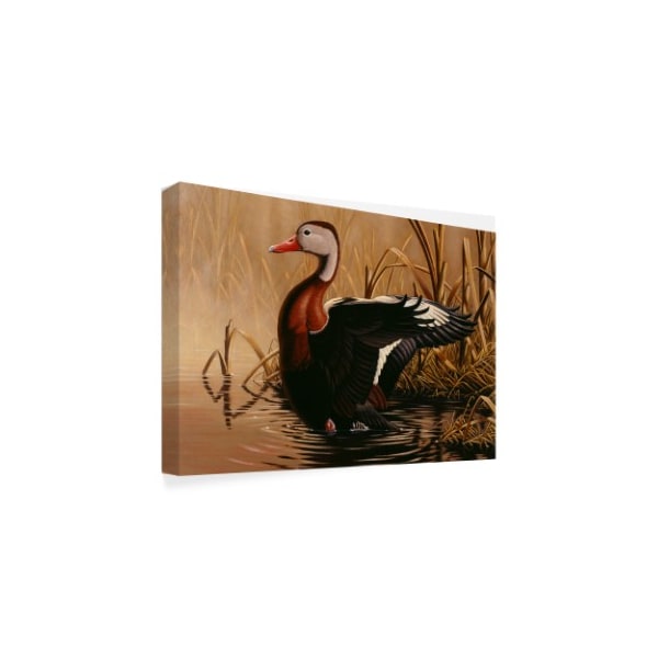 Wilhelm Goebel '1988 Black Bellied Duck' Canvas Art,16x24